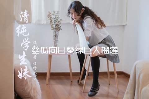 丝瓜向日葵绿巨人榴莲